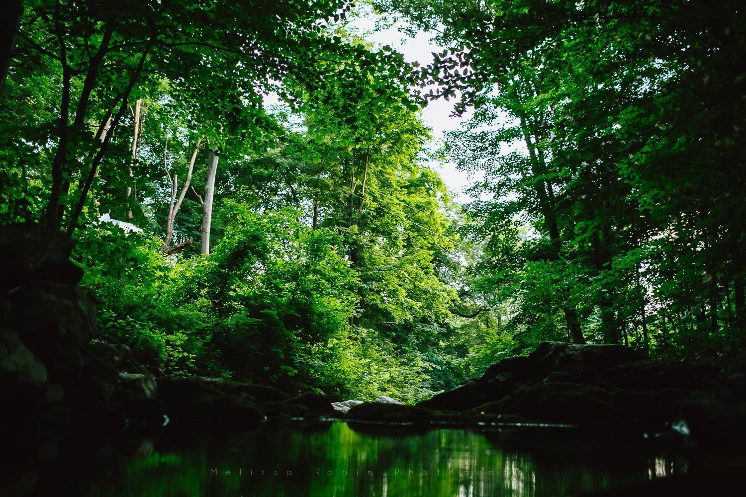 Beacon Hermitage Bagian luar foto